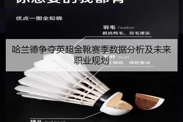 哈兰德争夺英超金靴赛季数据分析及未来职业规划